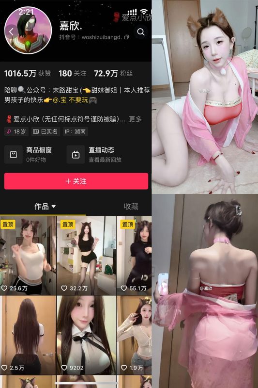 抖音 嘉欣 微密圈  NO.011 【17P4V】最新至：2025.5.12-秘语喵